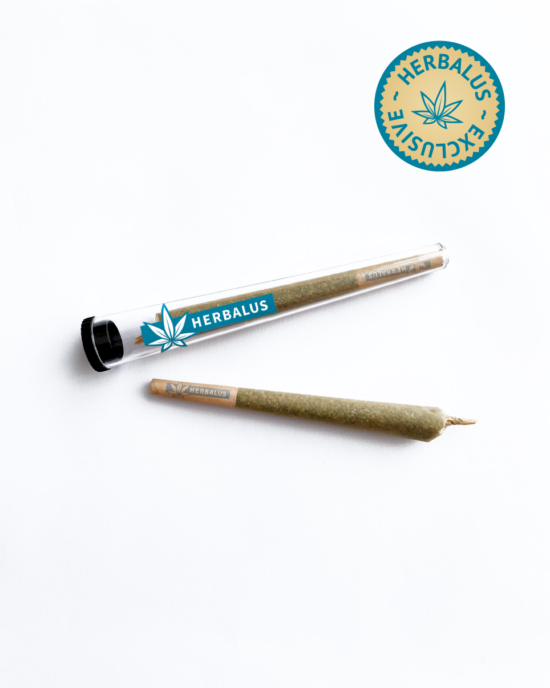 Herbalus Exclusive Pre-rolled joint 0
